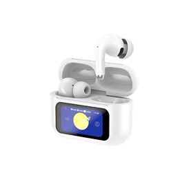 Earbuds EX-803